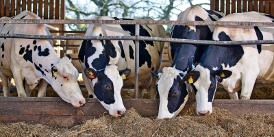 Methane reduction conference cover image - ForFarmers UK
