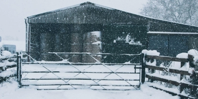Winter smallholding cover header - ForFarmers UK