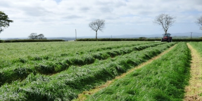 Forage header 2048 1024 px - ForFarmers UK