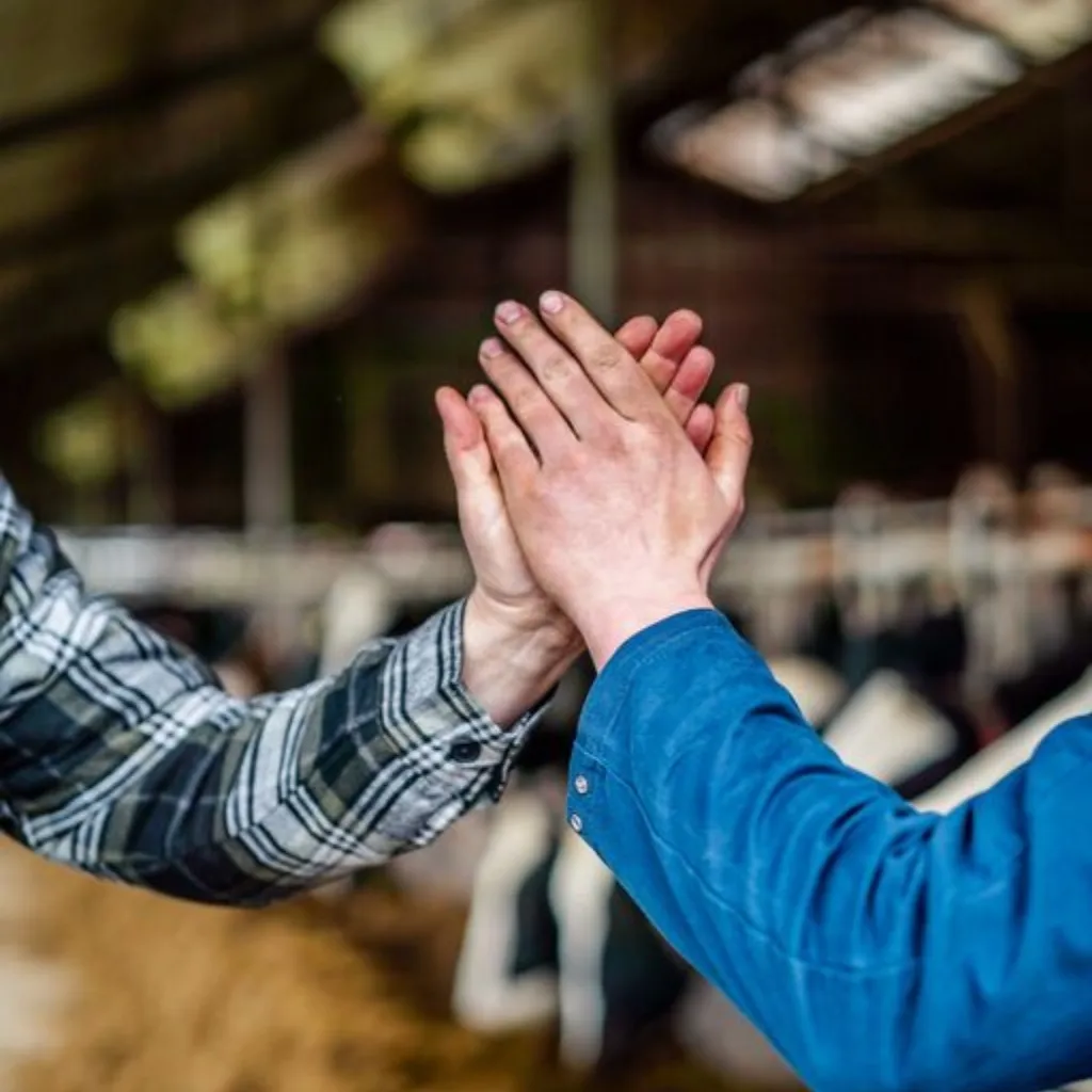 High five by 2 or more images 1024 1024 px 1 - Working at ForFarmers