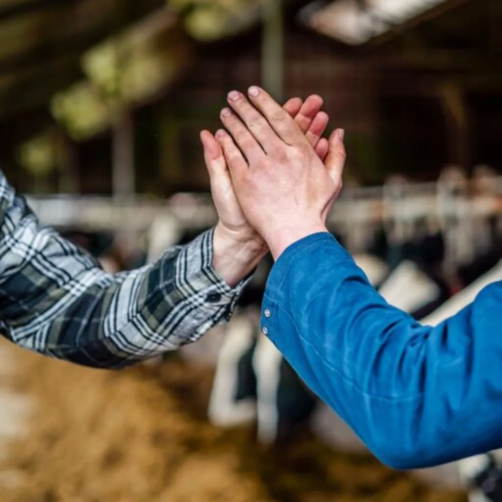 High five by 2 or more images 1024 1024 px - Werken bij ForFarmers