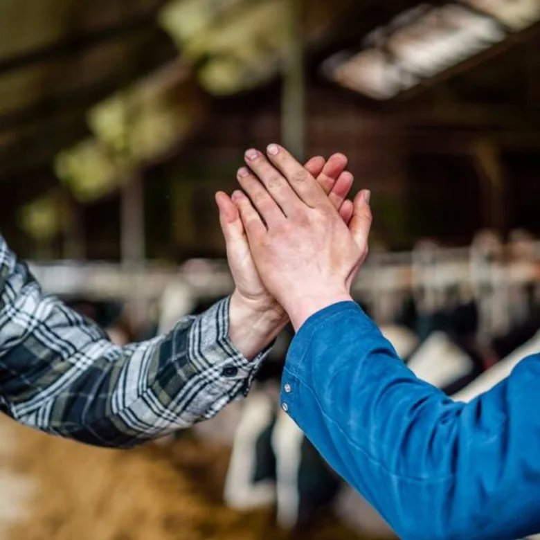 High five by 2 or more images 1024 1024 px 1