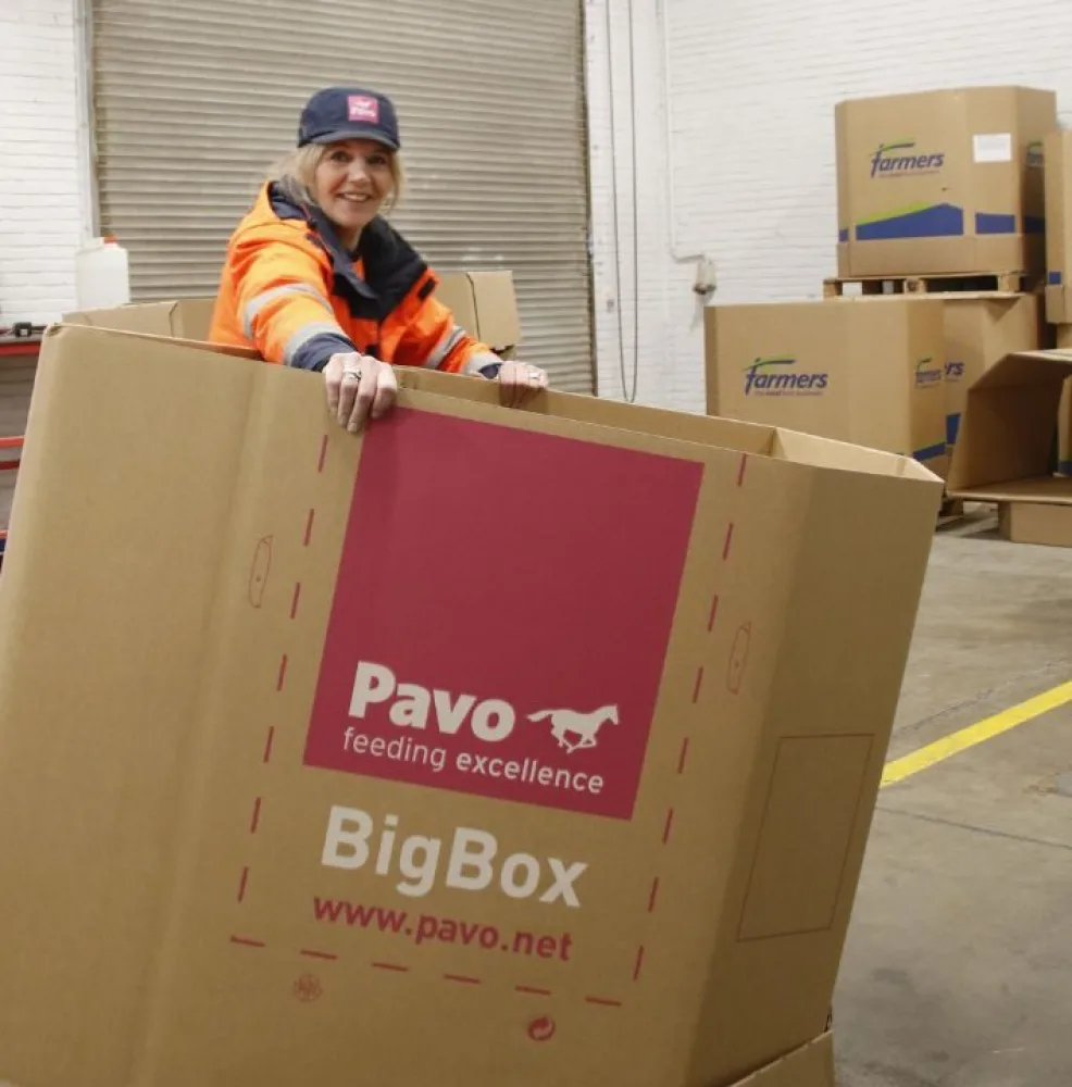 Maureen Linderman bigbox lb