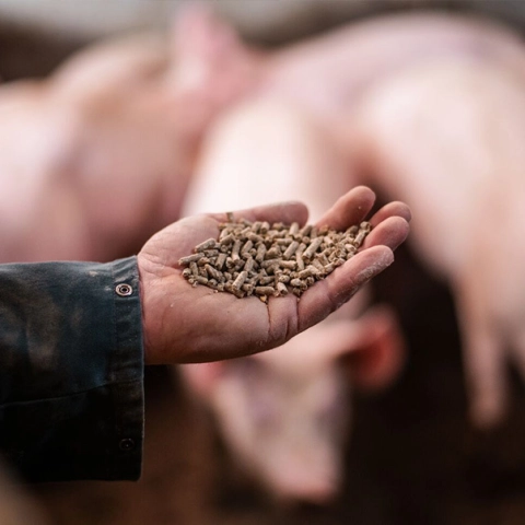 CAR Nutrition 4 - Werken bij ForFarmers