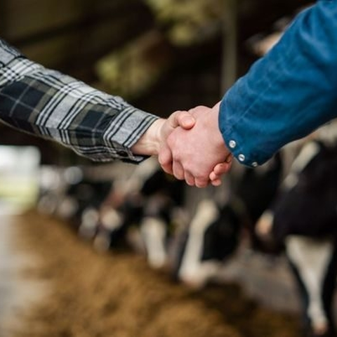 Sales c 1 - Werken bij ForFarmers