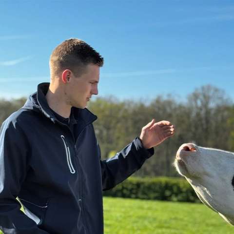 Ruwvoer thijmen - Werken bij ForFarmers