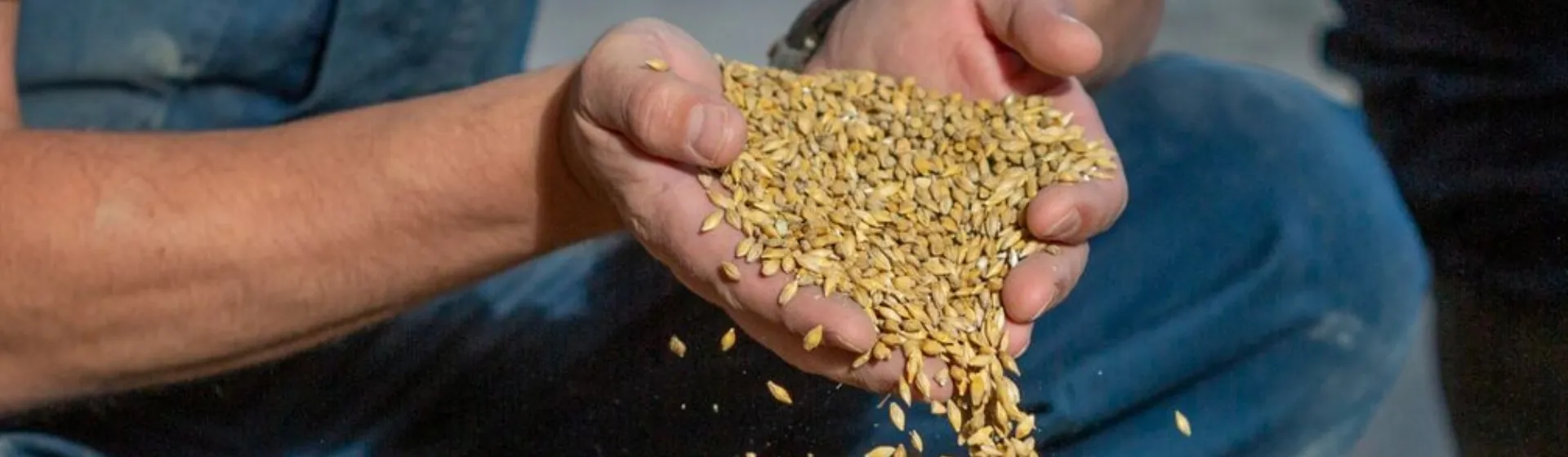 Inkoop en formulatie Header vakgebied pagina 1860x640 - Werken bij ForFarmers