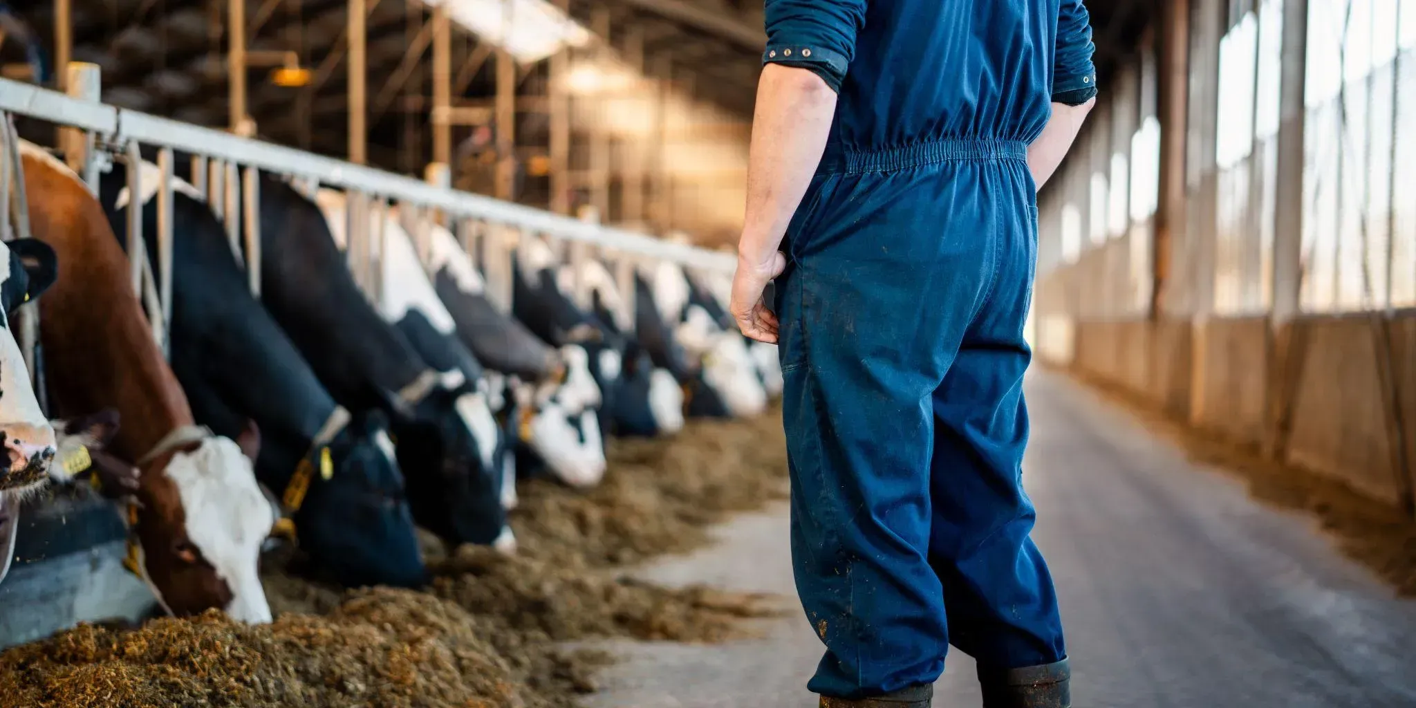 For Farmers Werken Bij 3 - Werken bij ForFarmers