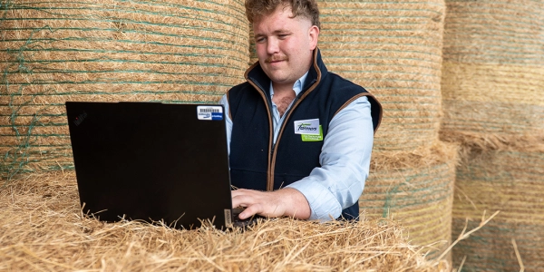 DSC8995 small - Working at ForFarmers