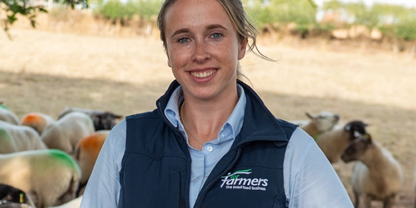 DSC9282 small5 - Working at ForFarmers