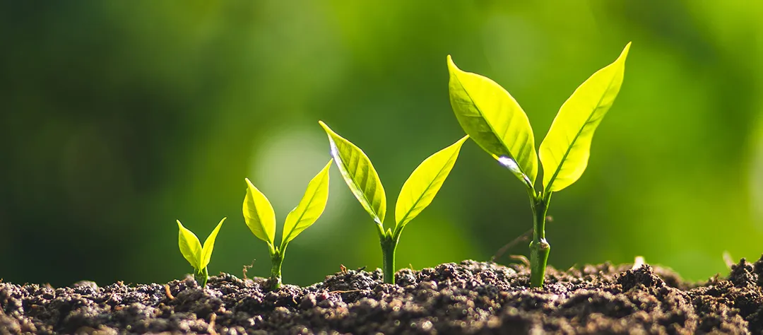 CDP small header - Working at ForFarmers