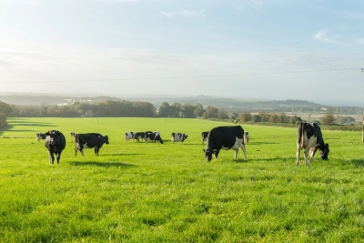 Demand for organic milk is forecast to grow by 1 2 year on year - ForFarmers UK