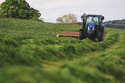 Reset swards ahead of the main silage season - ForFarmers UK