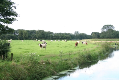 Provincie gelderland - ForFarmers Nederland