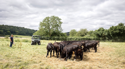 Barrowhill HI 147 - ForFarmers UK