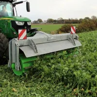 Groenbemester - Vanggewassen: Verplichting of Kansrijke Teelt?